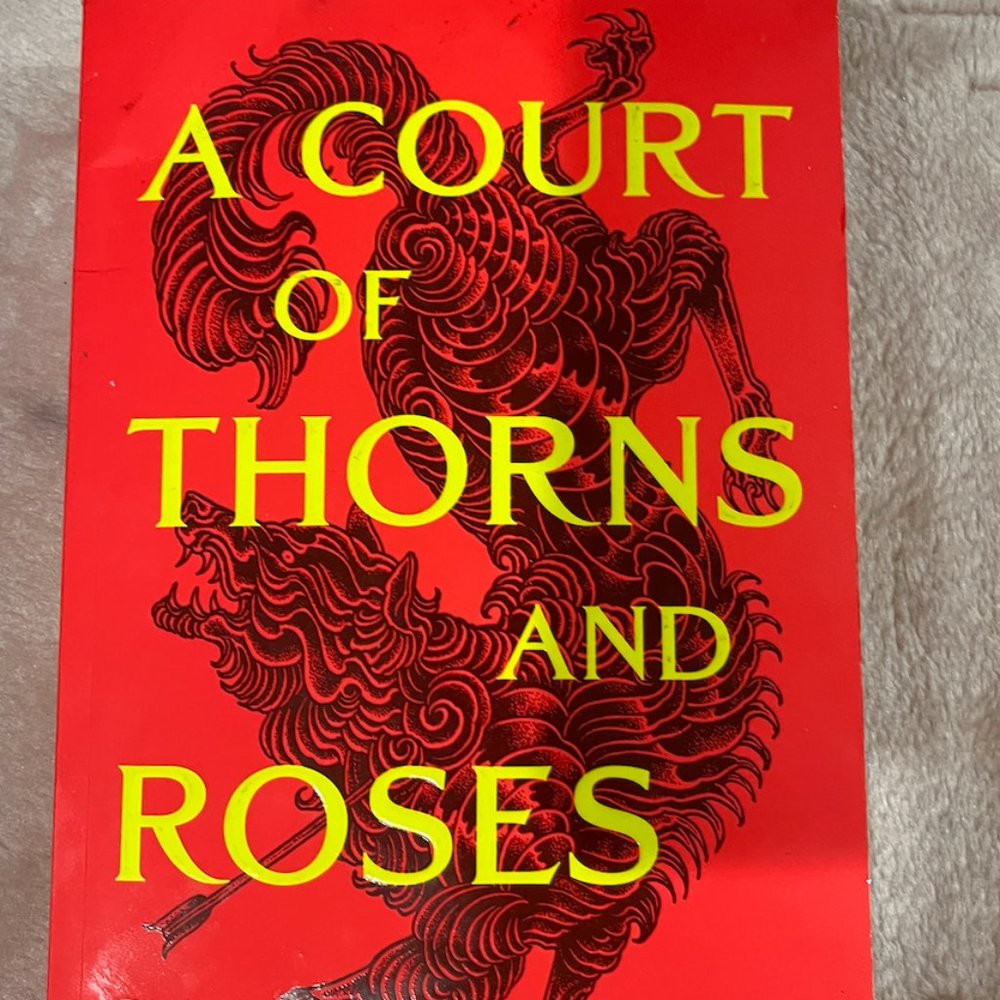A court of Thorn and Roses